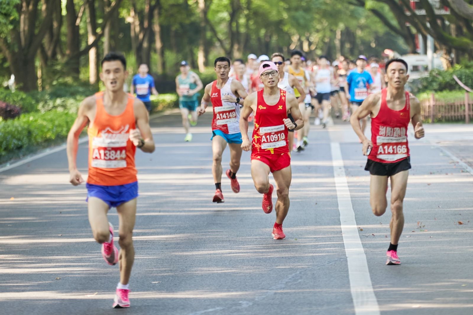 开云网页版登录入口