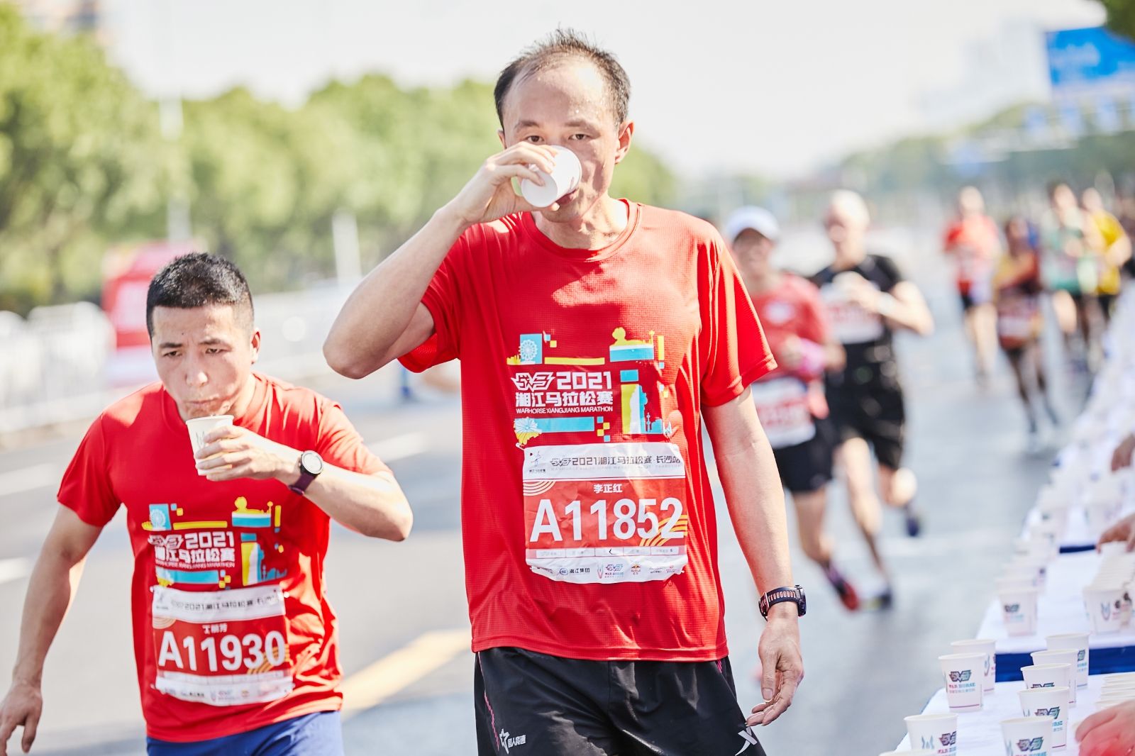开云网页版登录入口