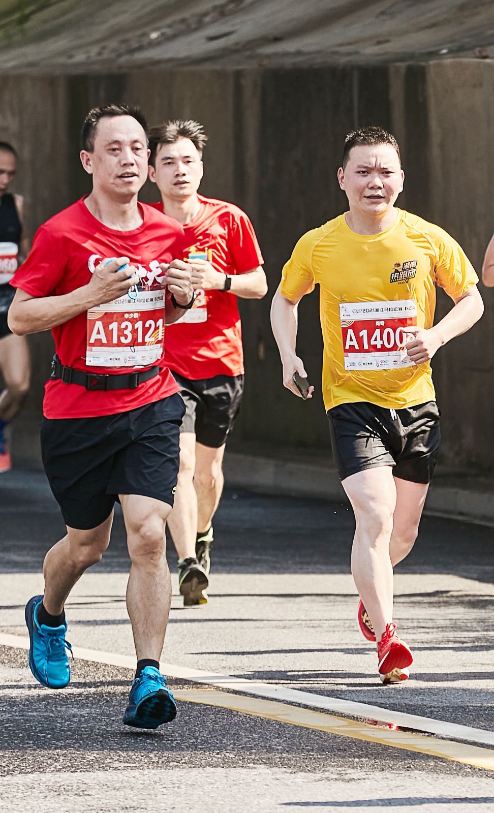 开云网页版登录入口