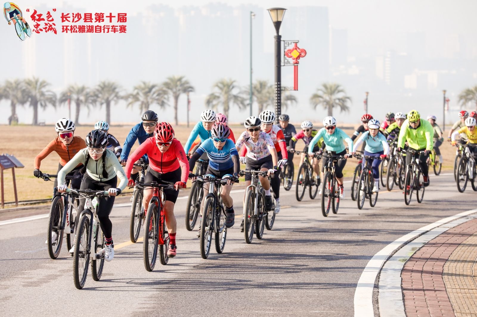 开云网页版登录入口