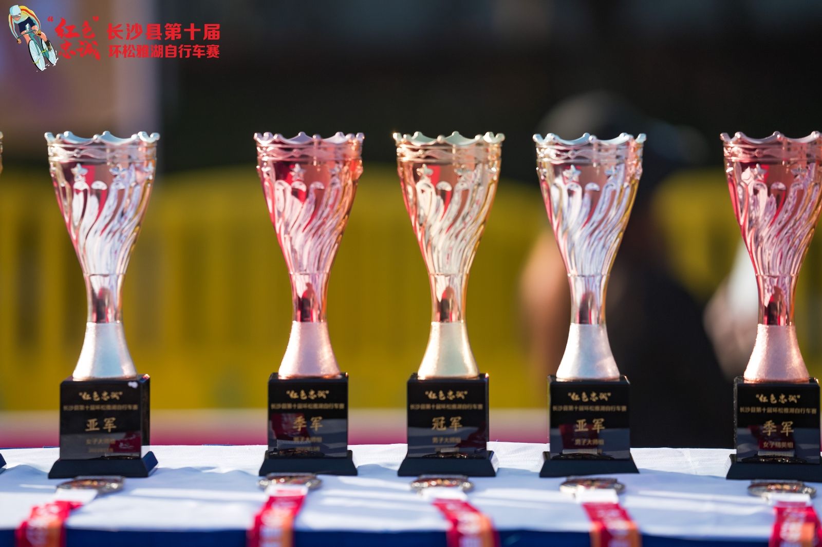 开云网页版登录入口