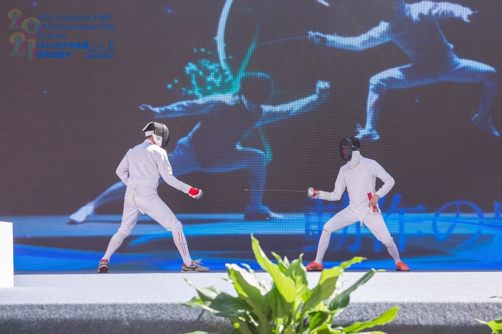 开云网页版登录入口