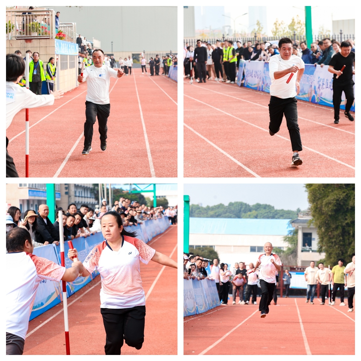 开云网页版登录入口