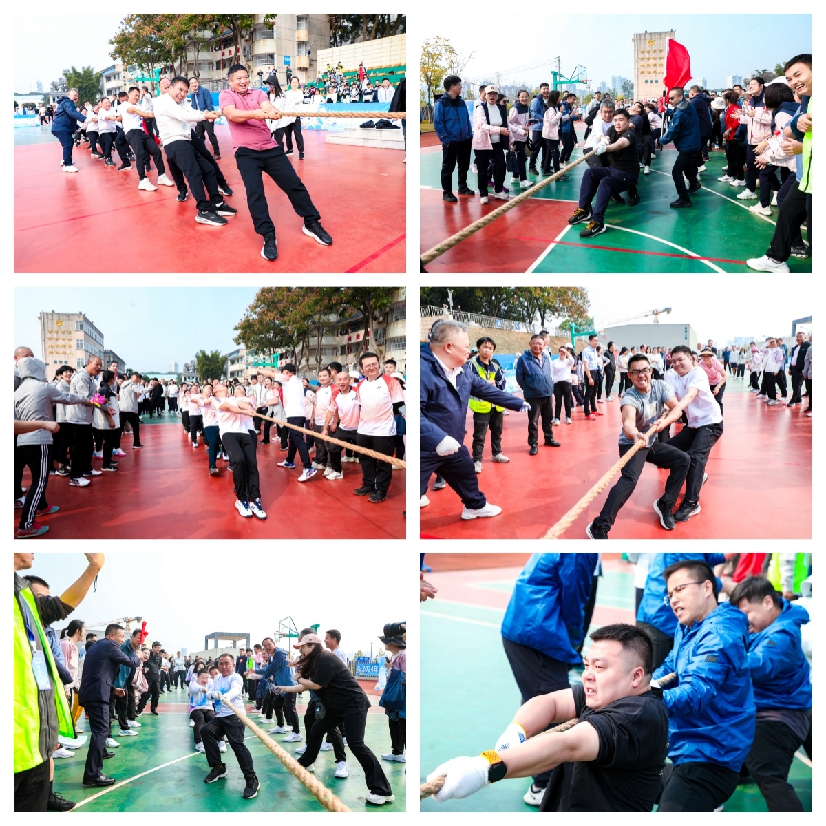 开云网页版登录入口