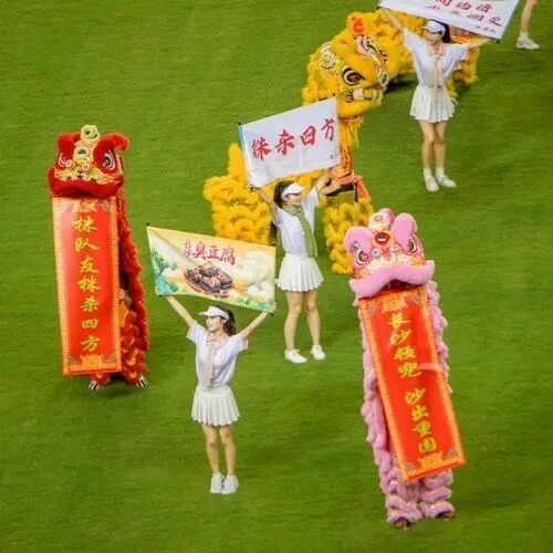 开云网页版登录入口