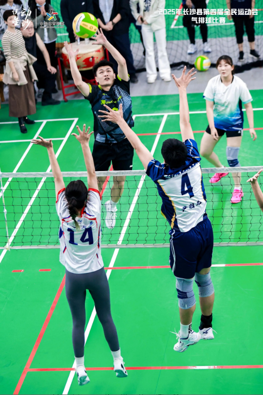 开云网页版登录入口