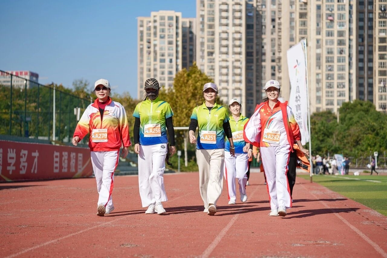 开云网页版登录入口